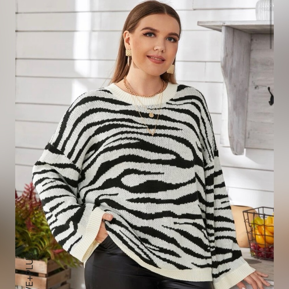 Zebra Stripe Sweater